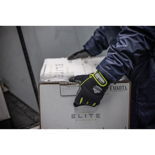 Ergodyne Proflex 850 Insulated Freezer Gloves Black 3x-large Pair