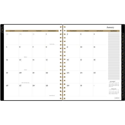 Cambridge Radiate Weekly/monthly Planner Stylized Solar-eclipse Artwork 11x9.25 Black/gold Cover 12-month (jan To Dec): 2025