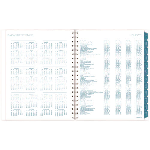 Cambridge Glacier Weekly/monthly Planner Glacier Artwork 11"x9.25" Blue/gray/silver Cover 12-month (jan To Dec): 2025