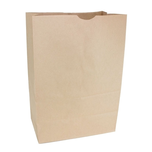 Pack N' Eat Paper 1/6 Bbl Sack Without Handle-500 Count-1/Case