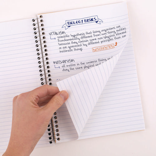 Five Star Wirebound Notebook 2-subject Medium/college Rule Randomly Assorted Cover Color (80) 9.6x6 Sheets