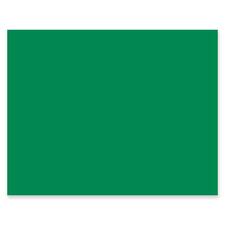 Four-ply Railroad Board, 22 X 28, Holiday Green, 25/carton