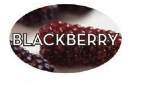 Label - Blackberry 4 Color Process 1.25x2 In. Oval 500/rl