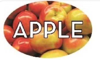 Label - Apple 4 color process 1.25x2 in. Oval 500/rl