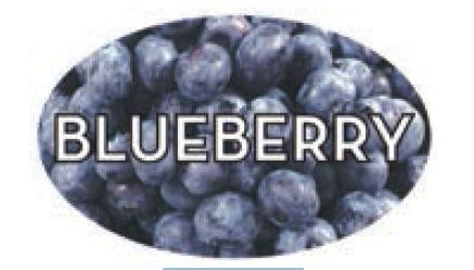 Label - Blueberry 4 Color Process 1.25x2 In. Oval 500/rl