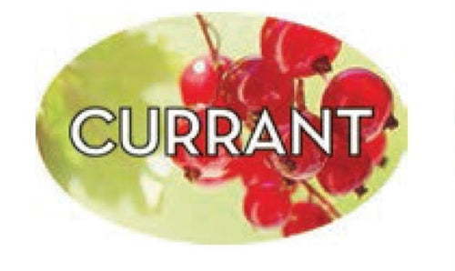 Label - Currant 4 Color Process 1.25x2 In. Oval 500/rl