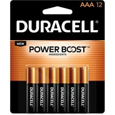 Duracell Coppertop Alkaline AAA Batteries - For Multipurpose - AAA - 1.5 V DC - 12 / Pack