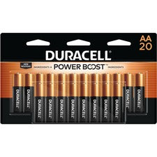 Duracell Coppertop Alkaline AA Batteries - For Multipurpose - AA - 1.5 V DC - 240 / Carton