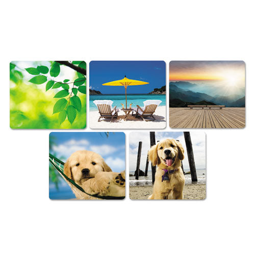 Recycled Mouse Pad, 9 X 8, Puppy In Hammock Design