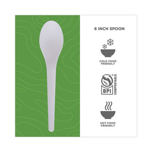 Plantware Compostable Cutlery, Spoon, 6", Pearl White, 50/pack, 20 Pack/carton