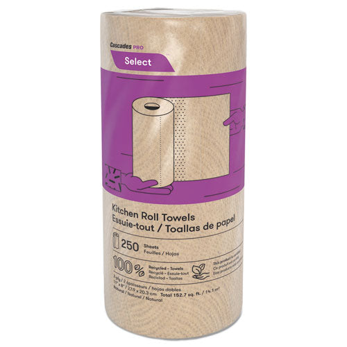 Select Kitchen Roll Towels, 2-ply, 8 X 11, 250/roll, 12/carton