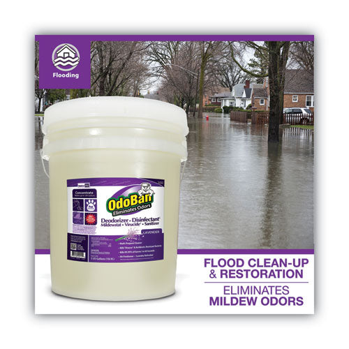 Concentrated Odor Eliminator And Disinfectant, Lavender Scent, 5 Gal Pail