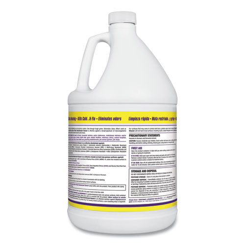 Clean Finish Disinfectant Cleaner, 1 Gal Bottle, Herbal