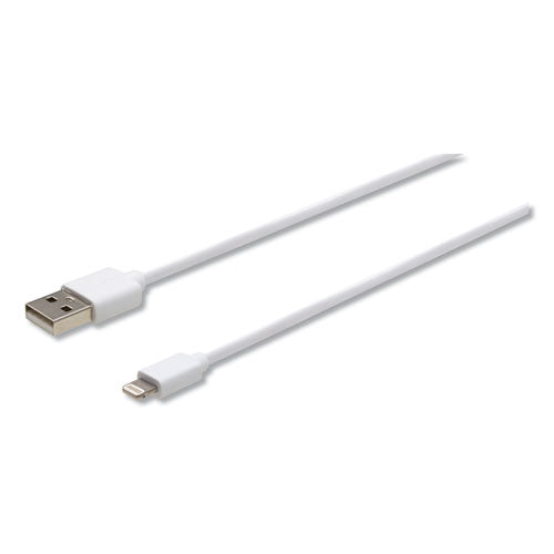 Usb Apple Lightning Cable, 10 Ft, White