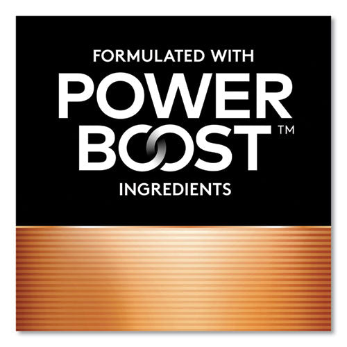 Power Boost Coppertop Alkaline Aa Batteries, 2/pack